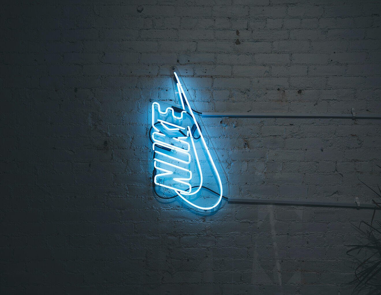 Excepteur sint cupidatat non sit proident sunt in culpa aute irure dolor in reprehenderit in voluptate (Demo)